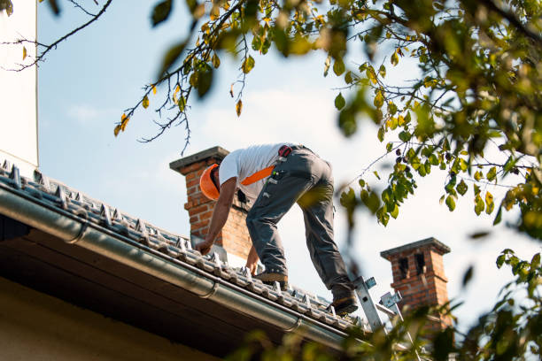 Best Commercial Roofing Services  in Naples Manor, FL