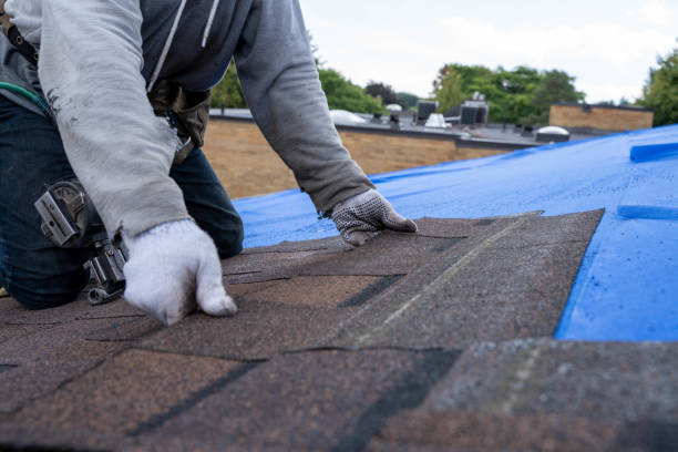 Roof Gutter Cleaning in Naples Manor, FL