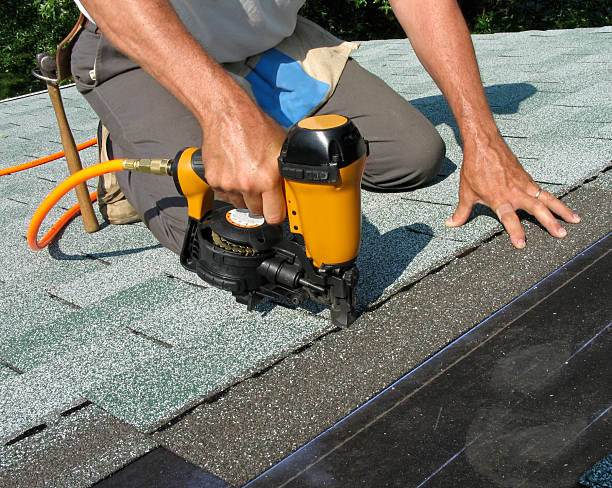Best Roof Gutter Cleaning  in Naples Manor, FL